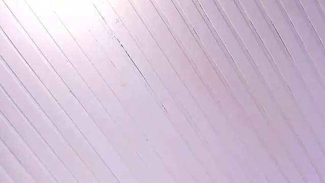 Ammy nova online show from 11-01-25, 08:11