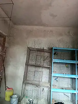 NICK IN online show from 02-18-25, 04:15