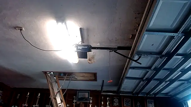 Snapshot of Buffshagswell chatting on 03-19-25, 10:20 Buffshagswell online show from 03-19-25, 10:20