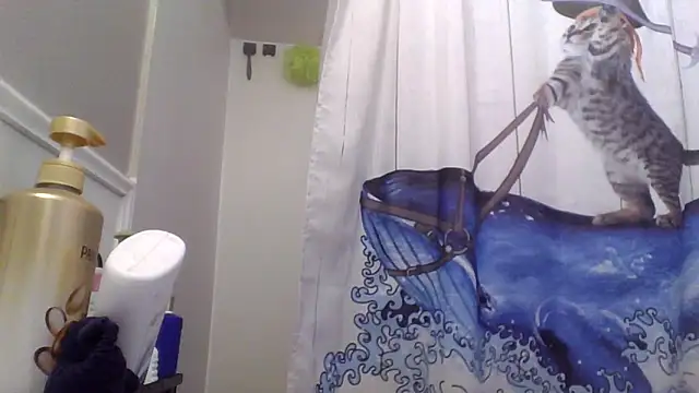 clitstitsandbongrips online show from 11-25-25, 03:17