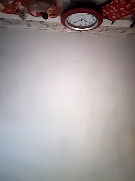 Dani pegin online show from 10-27-25, 03:05