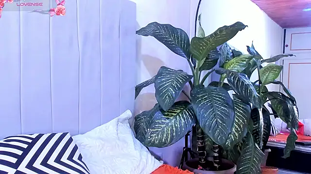 Snapshot of Mindy_sweety chatting on 03-06-25, 07:54 Mindy sweety online show from 03-06-25, 07:54