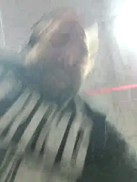 Strong Bear89 online show from 12-02-24, 03:04