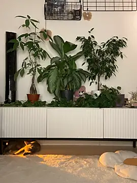  SweetCandyy online show from 07-12-26, 08:00
