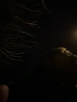 tipico0799 online show from 03-01-25, 01:43