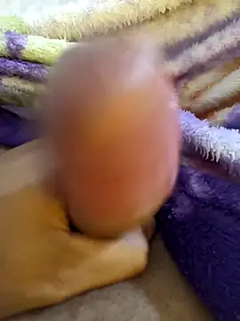 bengala223 online show from 12-04-25, 12:14