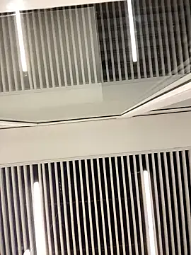 SuzieMurray online show from 02-12-25, 08:27