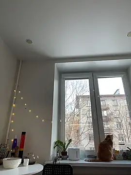 SuzieMurray online show from 03-06-26, 08:22