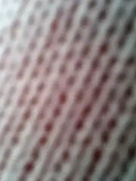 Snapshot of Gardener_of_Illusions chatting on 10-31-25, 10:27 Gardener of Illusions online show from 10-31-25, 10:27