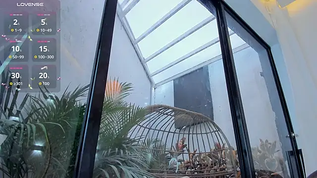 Venusflame   online show from 10-18-25, 12:06