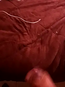 pedritolobito online show from 12-17-24, 04:11