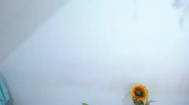 Snapshot of diamonmeli chatting on 01-14-25, 03:57 diamonmeli online show from 01-14-25, 03:57