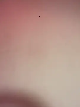  Chartlotte online show from 12-11-24, 11:32