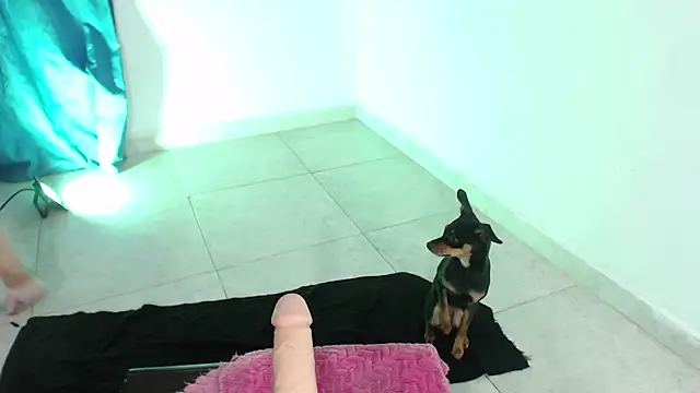 Snapshot of April_sexycurvi chatting on 11-21-25, 01:37 April sexycurvi online show from 11-21-25, 01:37