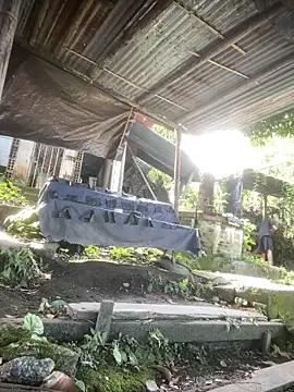 Jestebanano online show from 04-02-26, 02:26