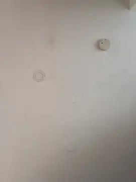 geilerschwanz64 online show from 01-05-25, 12:10