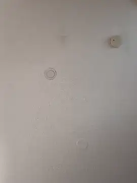 geilerschwanz64 online show from 01-18-25, 04:31