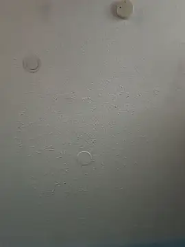 geilerschwanz64 online show from 02-03-25, 05:46