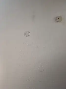 geilerschwanz64 online show from 02-21-25, 08:40