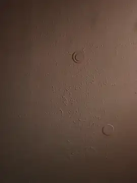 geilerschwanz64 online show from 03-20-25, 11:49