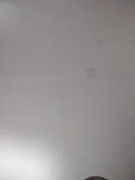 geilerschwanz64 online show from 10-05-25, 03:27