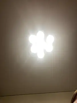 Janet Welder online show from 12-16-24, 07:37