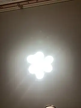 Janet Welder online show from 12-20-24, 08:34