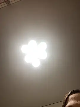 Janet Welder online show from 11-16-25, 12:05