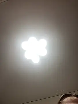 Janet Welder online show from 04-03-26, 08:29