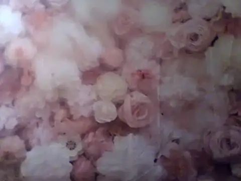 camiliaskye online show from 12-31-24, 04:49