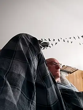 bogland33 online show from 10-04-25, 12:14