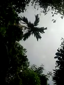 kumaricapalsex2 online show from 01-26-25, 05:34