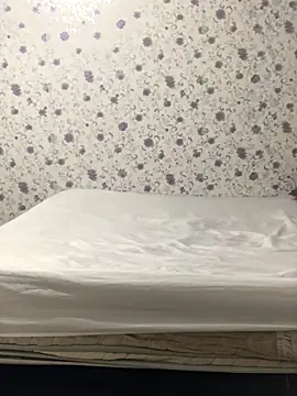 Snapshot of ahross chatting on 10-04-25, 11:08 ahross online show from 10-04-25, 11:08