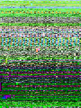 Snapshot of ahross chatting on 10-13-25, 09:53 ahross online show from 10-13-25, 09:53