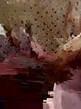 ahross online show from 03-26-26, 11:54