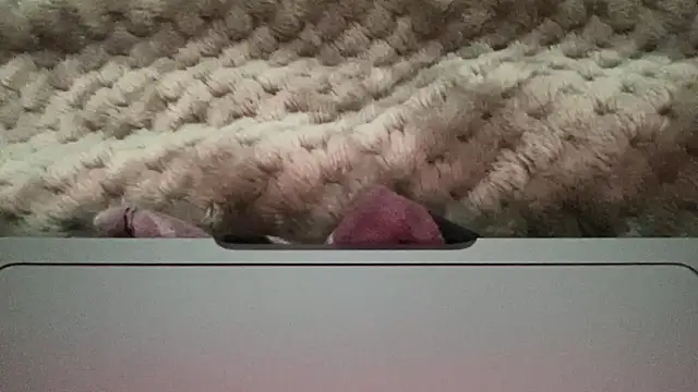 thick n hard online show from 12-14-24, 09:51