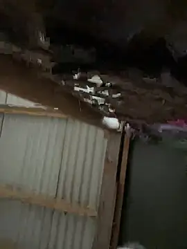 Snapshot of Masked-Minx-Mia chatting on 12-06-24, 03:22 Masked-Minx-Mia online show from 12-06-24, 03:22