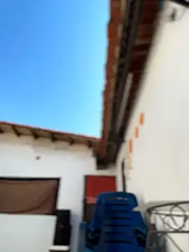 Leo bunny hot online show from 02-06-26, 07:17