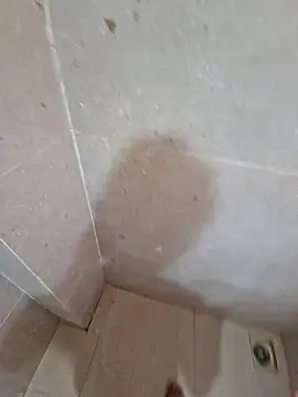 Snapshot of vivanpraj999 chatting on 11-25-25, 04:23 vivanpraj999 online show from 11-25-25, 04:23