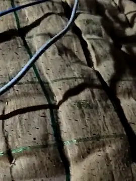 Kolkataboiy online show from 10-02-25, 10:50