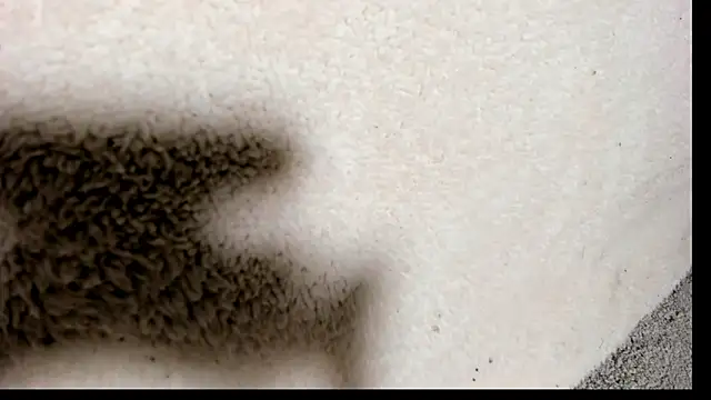 Brock hurn1 online show from 09-15-25, 02:00