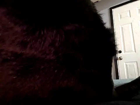 DevinToore online show from 10-29-25, 03:31