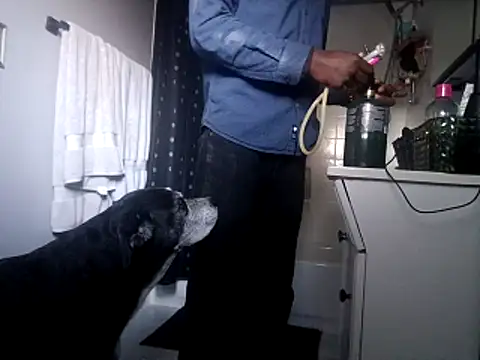 DevinToore online show from 10-31-25, 10:33