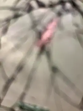 Snapshot of lescro95_ chatting on 12-14-25, 03:28 lescro95 online show from 12-14-25, 03:28