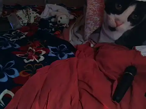 Snapshot of VeneRed chatting on 03-08-26, 06:55 VeneRed online show from 03-08-26, 06:55