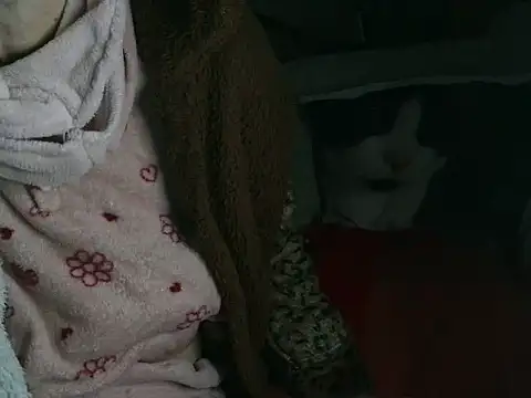 Snapshot of VeneRed chatting on 03-16-26, 09:19 VeneRed online show from 03-16-26, 09:19