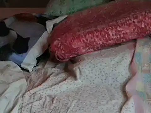 Snapshot of VeneRed chatting on 04-06-26, 06:20 VeneRed online show from 04-06-26, 06:20