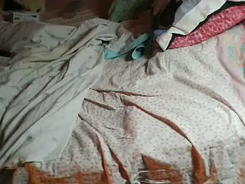 Snapshot of VeneRed chatting on 04-11-26, 07:29 VeneRed online show from 04-11-26, 07:29