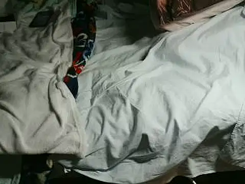 Snapshot of VeneRed chatting on 04-15-26, 06:26 VeneRed online show from 04-15-26, 06:26