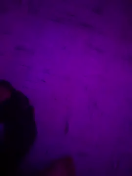 Argento14 online show from 11-03-25, 05:31